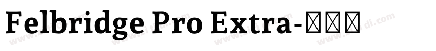 Felbridge Pro Extra字体转换 Felbridge Pro Extra字体转换